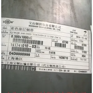 �����������Ϻ����ֹɷ���ͨ�л�ɫ509��Ϳ��