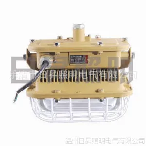 湖北 武汉 SBD1101-YQL50免维护节能防爆灯