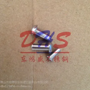 顺德勒流不锈钢铆钉 东鸿盛国标304实心铆钉 沉头 大扁头 半空心铆钉 多款供选