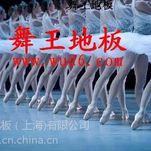 什么材质的舞蹈地胶质量好