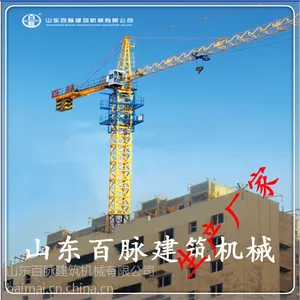 QTZ100 TC6013 价格优惠厂家直销 另订做加工标准节与异形机 欢迎到厂参观山东百脉公司
