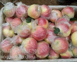 红富士苹果，产地红富士苹果今日***格，基地红富士苹果直销批发行情