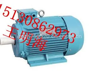 供应衡水永动YX3-250M-8-30KW高效节能三相异步电动机