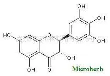 供应二氢杨梅素 蛇葡萄素 对照品 标准品 HPLC≥98%