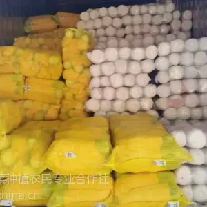���� �ײ� ���� ��ɽ�� �������߲� ʵ������