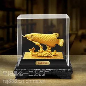 绒沙金金龙鱼
