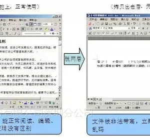 天锐·方案 | IT电子行业信息安全解决方案