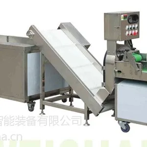 厂家直销全机优质不锈钢苏州阿尔斯特连续式瓜果毛刷清洗脱皮机（LWX-106)