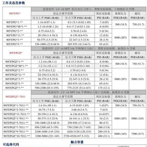 【美国CCS】华中总代904YPG【压力开关】湖北福贵自动化CCC认证