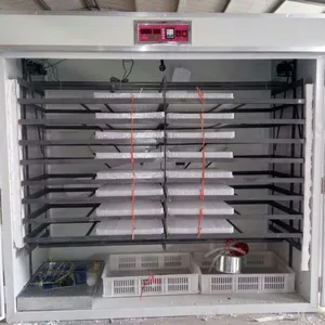 厂家直销泰达TD- 2816枚智能孵化机/省电节能的孵化设备