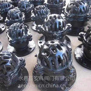 浙江永嘉H42X铸铁底阀