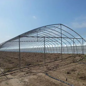 内蒙古大棚建设,温室大棚施工造价低耐久高强用GM钢化水泥一体建筑
