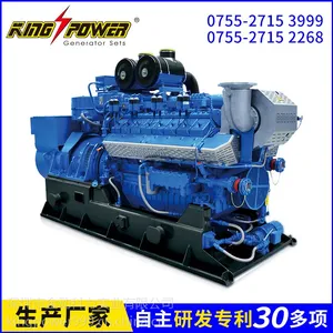 生产销售800kw 沼气发电机 燃气发电机 德国原装进口