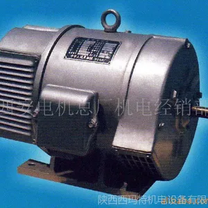 �ֻ�������Ӧ����ֱ��Z2-22 1.1KW 220V���ֻ�