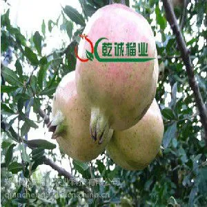 ����ʯ������ �������﹩Ӧ��ʯ�񾭼�ʵ��