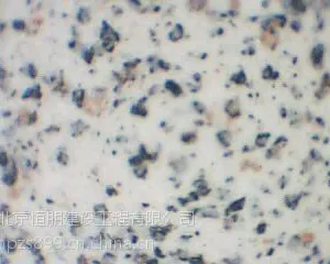 北京外墙真石漆施工多少钱一平米?