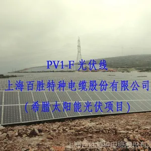 TUV 2PFG 1169 莱茵认证光伏线 PV1-F1*25