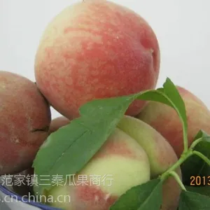 陕西中华寿桃价格/中秋红桃子批发价格/寿桃产地直销