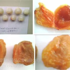 福瑞斯永淦烘干(图)_博白桂圆肉烘干_桂圆肉烘干