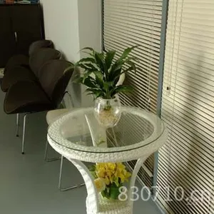 供应室内租花植物租摆花木出租租花低至300元