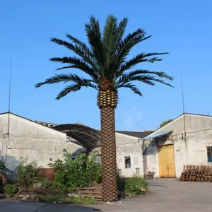 圣杰仿生大型海枣树广场酒店街道园林别墅商业街绿化