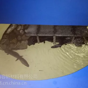 ��Ӧ��ʽ����epsģ��