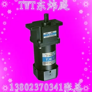 东炜庭电机TWT东炜庭小马达东莞大量现货***供应
