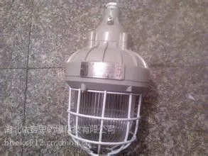 法兰式防爆内场节能灯HRD81-68W 依客思直销