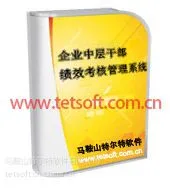 企业中层干部绩效考核管理系统