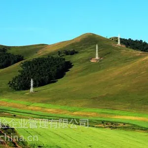 北京快乐体验团建营之有特色才能顶住低价竞争