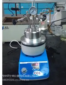 实验室小型压力反应釜/高压反应釜欧士特OST-100ml200ml热卖