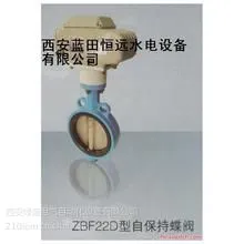�Ա��ֵ綯����ZBF22D