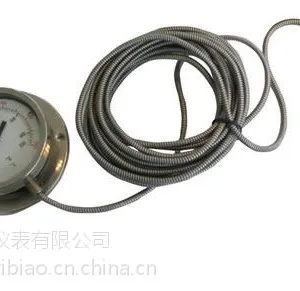 ��ӦWTYX2-1033��ӵ�Զ��˫�����¶ȼ�����