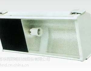 供应华辉照明隧道灯HTG206系列