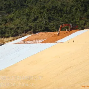 阳江复合土工膜,HDPE土工膜【杰袖】厂家当天下单当天送到