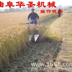 ����ʽ���ݸ�ɹ�� С�����׽ո��ո��