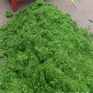 ��ա��������ţ��������ա������ �����������