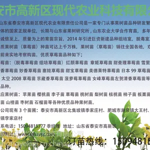������������ ������������� ���������翹���溦 ������ �ڸк� �۸��Ż�