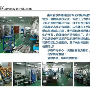 南京爱尔传感科技有限公司