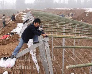 温室大棚建造与管理新技术