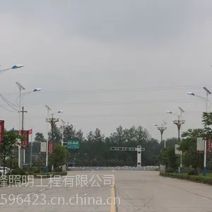 湖北十堰市太阳能路灯 单双头道路 LED路灯可咨询浩峰照明
