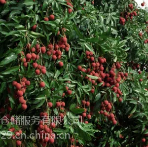 租冷库什么价格 大冷库出租