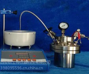 西安高压反应釜OSTG-200型/耐腐蚀高压反应釜/平行加氢反应釜