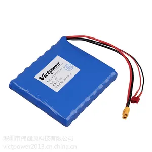 供应智能电动独轮车电池组 三星18650 60V 2900mah