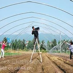 湖北荆门市钢架蘑菇大棚建设案例--潍坊三禾农业【0536-8700081】