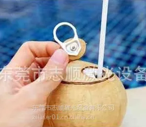 志顺激光直销出口椰子切割机