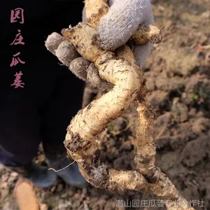 �������ʹ�����������3�� ������ ��¥�� ����ɽ�ز� ����ֱ�� ԰ׯ����