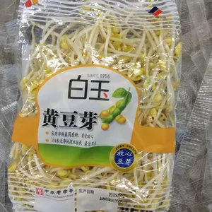 供应豆芽菜全自动包装机