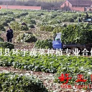 ��Ӧ�ӱ����������ʱ������Űײ� ����̰ײ� ������ײ� ��ײ˴�����Ӧֱ��