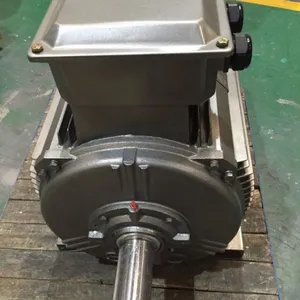西玛电机YE3-3552L2-6 250KW IP54二级能效高效节能电机